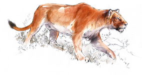 Illustration des animaux de la préhistoire dans le Pas-de-Calais