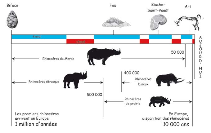 Chronologie de la présence des quatre espèces de rhinocéros durant la préhistoire