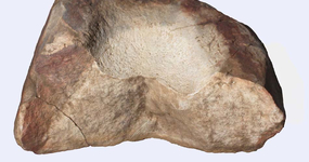 Meule néolithique découverte à Rebreuve-Ranchicourt.