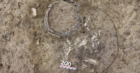 l’amas osseux et des anneaux en alliage cuivreux de la tombe 200